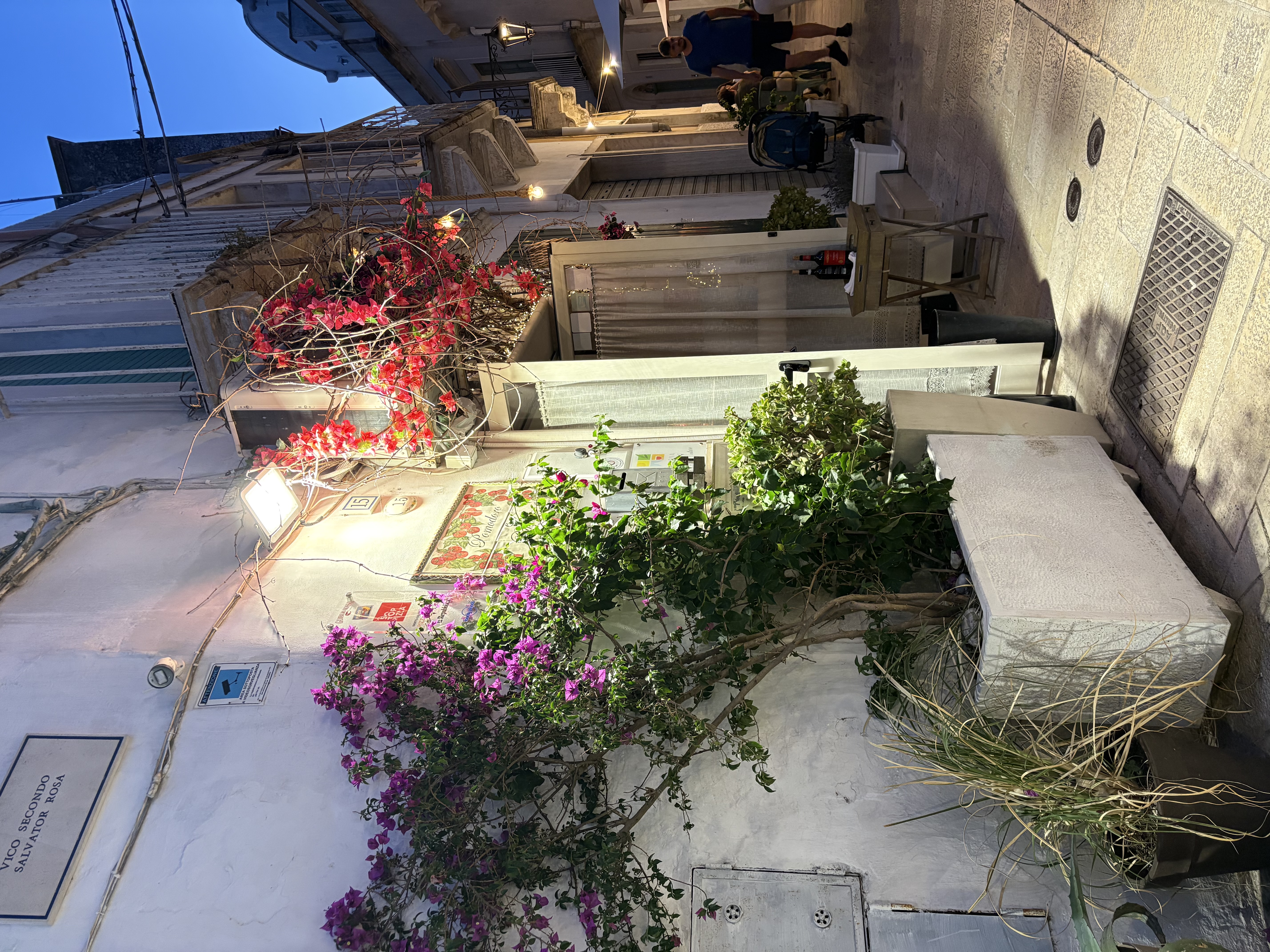 Foto 1 di Pomodoro e Basilico